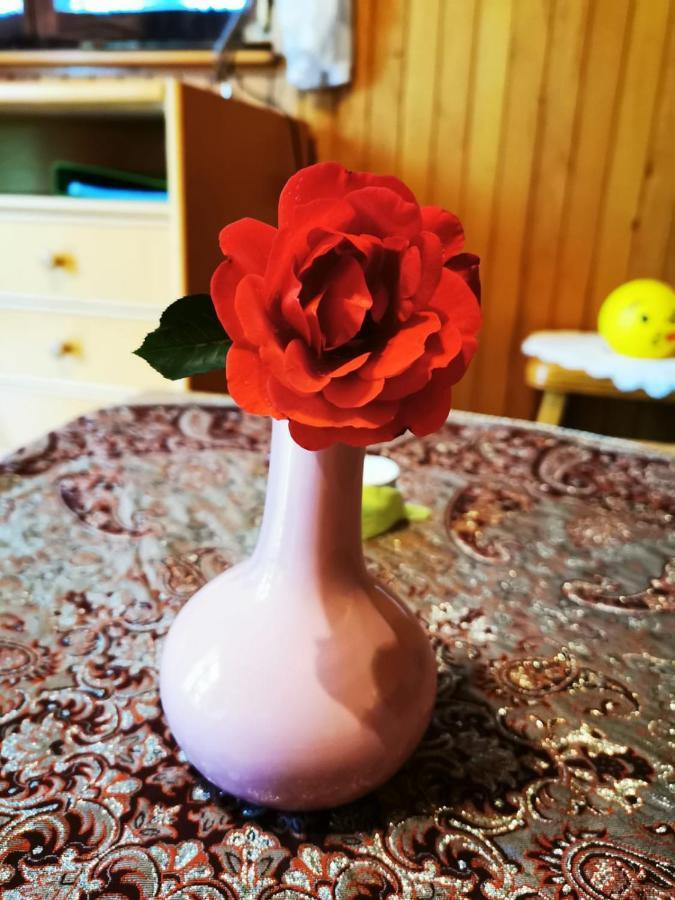 Braslovce Merikotka - A Cozy Wooden Cottage, Slovenia מראה חיצוני תמונה