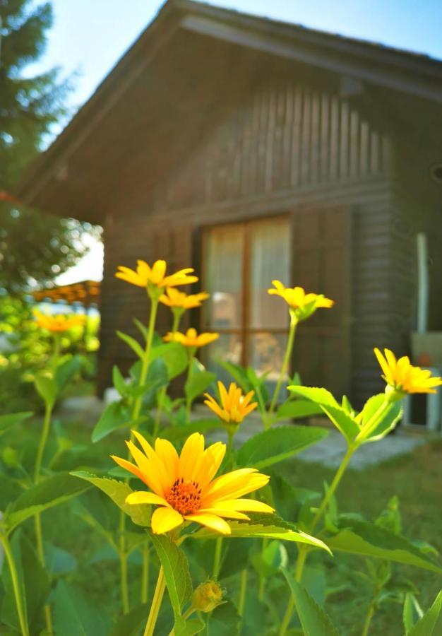 Braslovce Merikotka - A Cozy Wooden Cottage, Slovenia מראה חיצוני תמונה