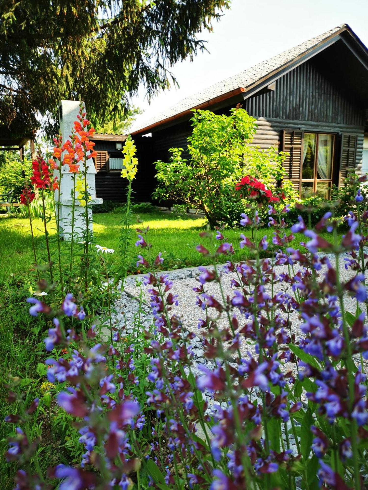Braslovce Merikotka - A Cozy Wooden Cottage, Slovenia מראה חיצוני תמונה