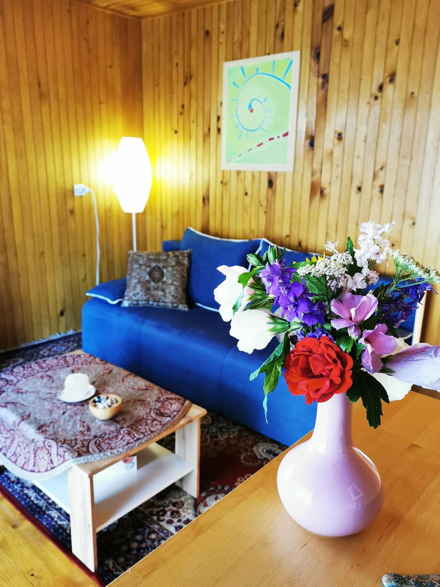 Braslovce Merikotka - A Cozy Wooden Cottage, Slovenia מראה חיצוני תמונה
