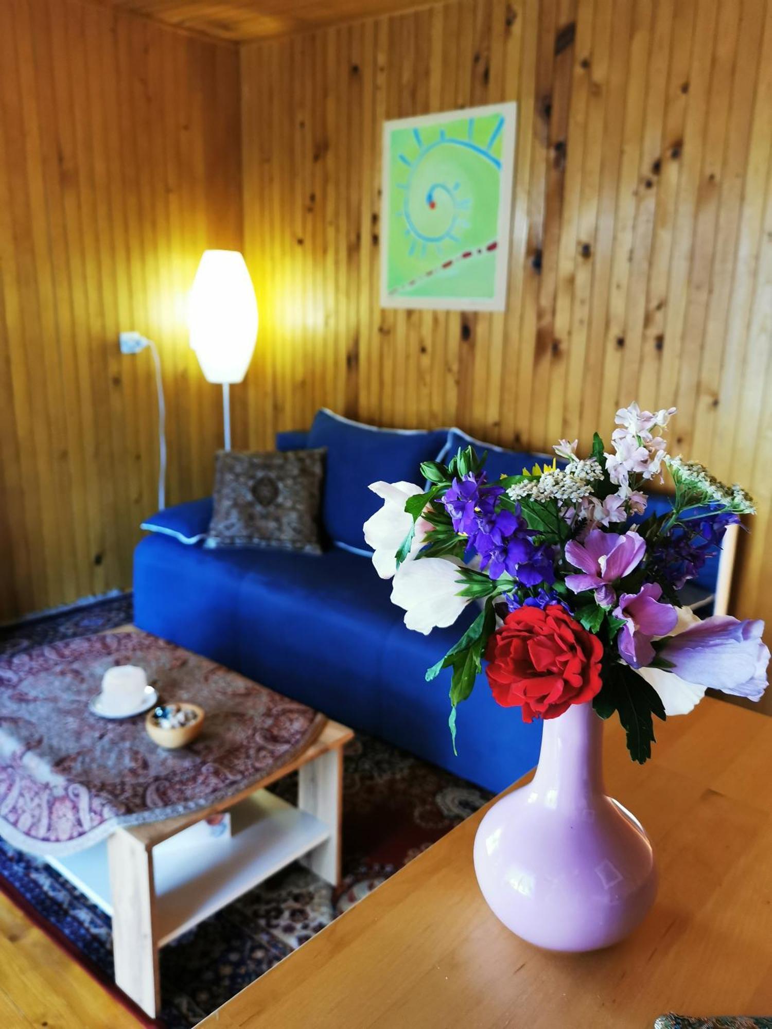 Braslovce Merikotka - A Cozy Wooden Cottage, Slovenia מראה חיצוני תמונה