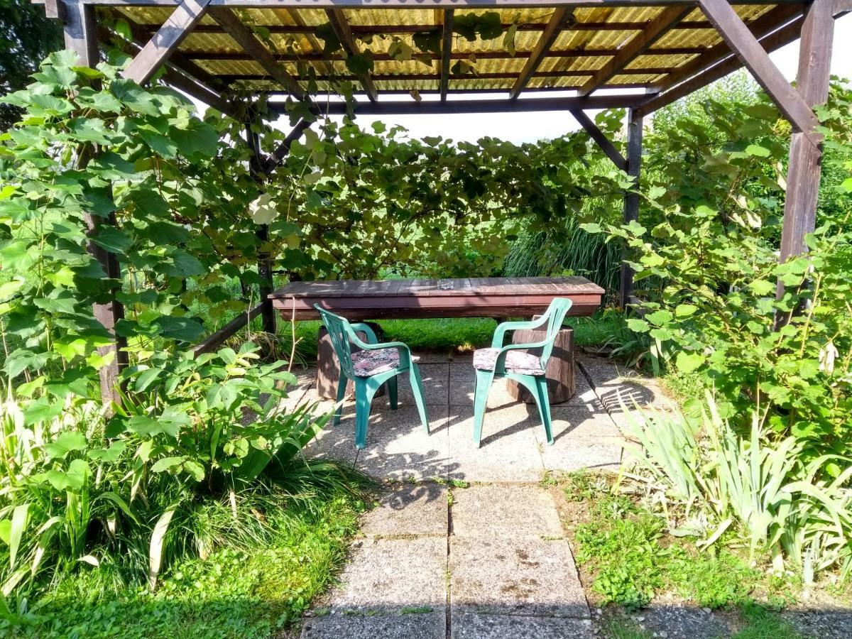 Braslovce Merikotka - A Cozy Wooden Cottage, Slovenia מראה חיצוני תמונה