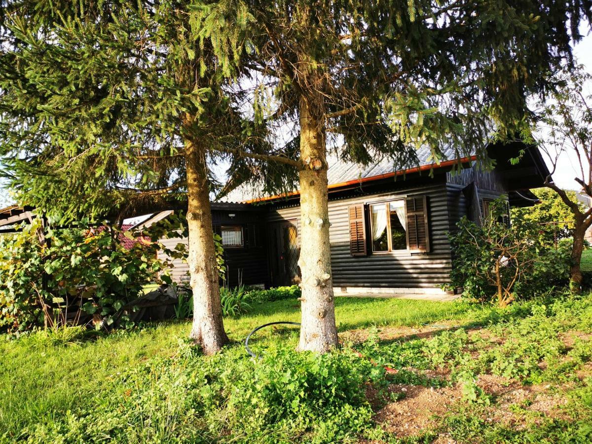 Braslovce Merikotka - A Cozy Wooden Cottage, Slovenia מראה חיצוני תמונה